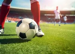 大连队专机,迎接主帅及,外援归来,乐鱼体育官网,乐鱼体育直播,体育赛事直播,足球直播