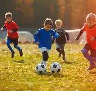 乐鱼体育,资讯,乐鱼体育官网,乐鱼体育官网,乐鱼体育直播,体育赛事直播,足球直播