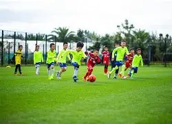 支付宝移动,网页支付,全流程解决,乐鱼体育官网,乐鱼体育直播,体育赛事直播,足球直播