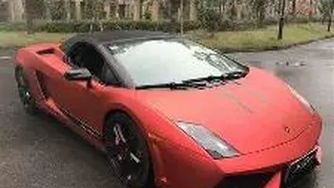 佟丽娅陈思诚携子游环球影城 离婚后首次同框