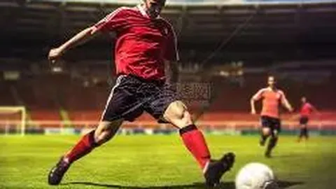 美德乐北交所IPO临近：盈利疑虑、财务风险笼罩上市之路