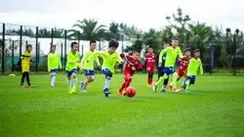 支付宝移动网页支付ASP.NET全流程解决方案